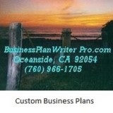 Custom Business Plans